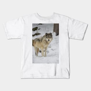 Eastern Gray Wolf Kids T-Shirt